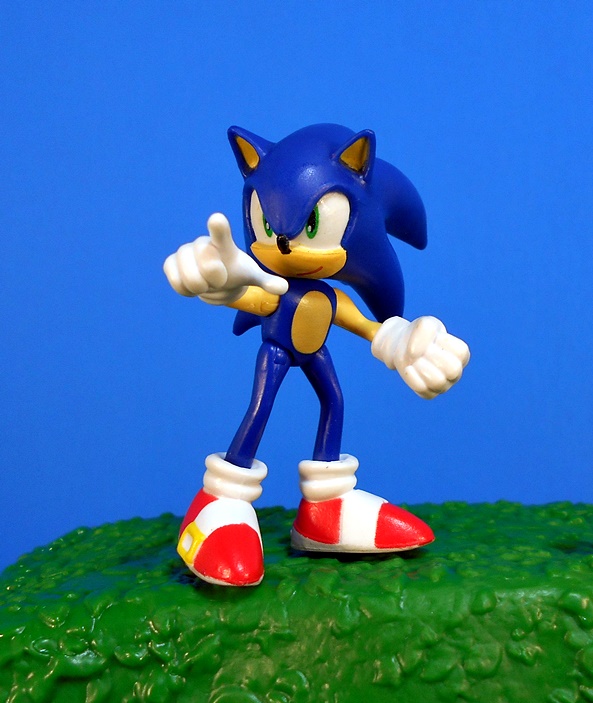 Sonic The Hedgehog Green Hill Zone Playset with 2.5 Sonic  Action Figure : Toys & Games